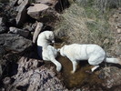 photo thumbnail #11