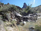 photo thumbnail #12