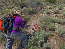 photo thumbnail #14