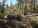 photo thumbnail #9