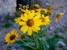 photo thumbnail #1