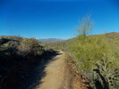 photo thumbnail #7