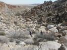 photo thumbnail #1