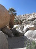 photo thumbnail #2