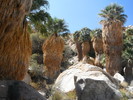 photo thumbnail #3