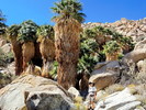 photo thumbnail #4