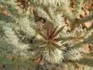photo thumbnail #15