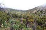 photo thumbnail #2