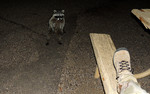 photo thumbnail #2