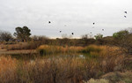 photo thumbnail #12