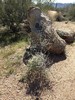 photo thumbnail #8