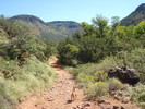 photo thumbnail #5