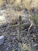 photo thumbnail #2
