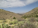 photo thumbnail #6