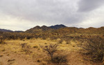 photo thumbnail #13