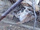 photo thumbnail #3