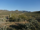 photo thumbnail #3