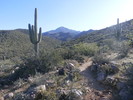 photo thumbnail #5