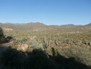 photo thumbnail #6