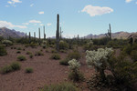photo thumbnail #3