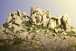 photo thumbnail #13