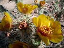 photo thumbnail #5