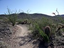 photo thumbnail #7