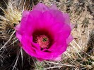 photo thumbnail #9