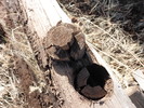 photo thumbnail #5