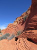 photo thumbnail #15
