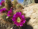 photo thumbnail #5