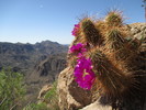 photo thumbnail #6