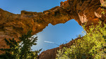 photo thumbnail #14