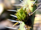 photo thumbnail #3