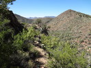 photo thumbnail #10