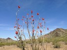 photo thumbnail #13