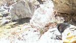 photo thumbnail #14