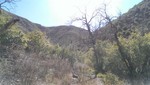 photo thumbnail #15