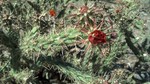 photo thumbnail #11