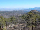 photo thumbnail #7