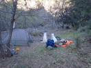photo thumbnail #10