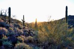 photo thumbnail #2