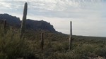 photo thumbnail #1