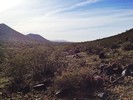 photo thumbnail #3