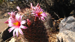photo thumbnail #2