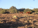 photo thumbnail #13