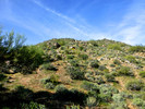 photo thumbnail #6