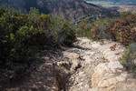 photo thumbnail #12