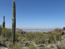 photo thumbnail #10