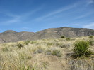 photo thumbnail #7